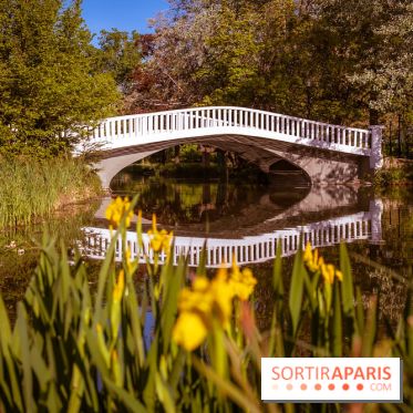 Le Parc des Ibis au Vésinet dans les Yvelines en Région Parisienne - photos  - A7200413