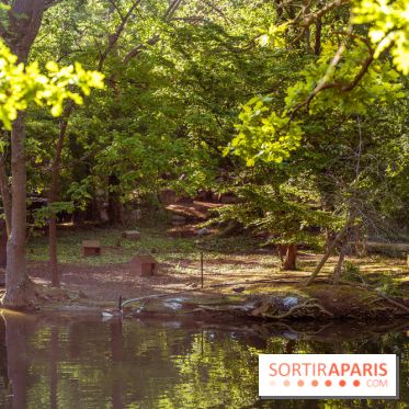 Le Parc des Ibis au Vésinet dans les Yvelines en Région Parisienne - photos