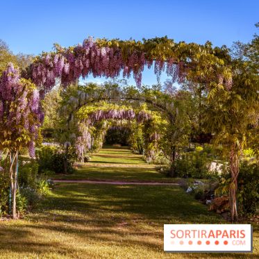 Le Parc des Ibis au Vésinet dans les Yvelines en Région Parisienne - photos  - A7200434 2