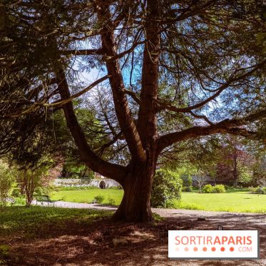 Le couvent des Carmes en Seine-et-Marne, son parc et son musée gratuit
