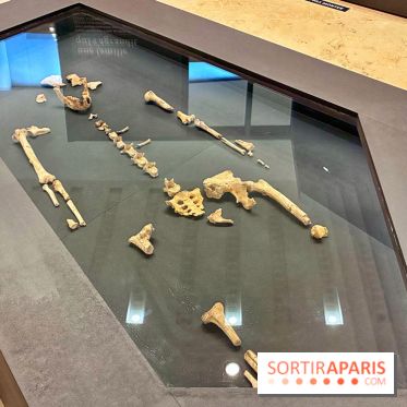 Préhistoire, entre utopie et réalité  - IMG 5563