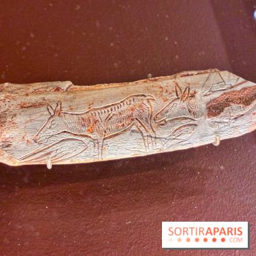 Préhistoire, entre utopie et réalité  - IMG 5569