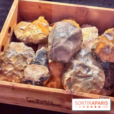 Préhistoire, entre utopie et réalité  - IMG 5589