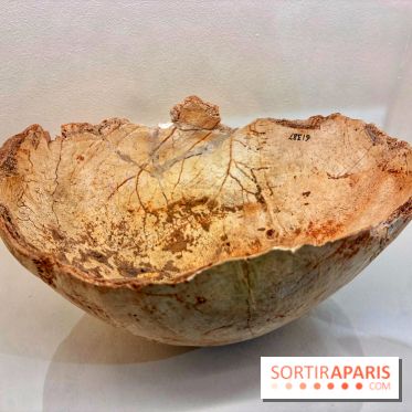 Préhistoire, entre utopie et réalité  - IMG 5627