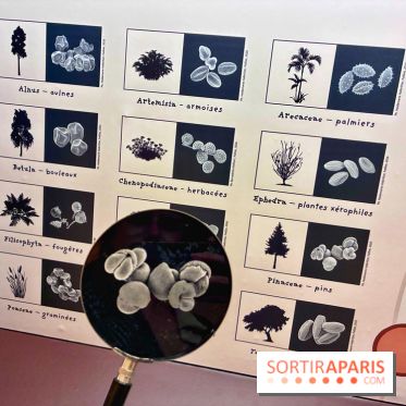 Préhistoire, entre utopie et réalité  - IMG 5646