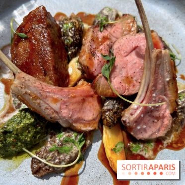 Rooster - Agneau, morilles