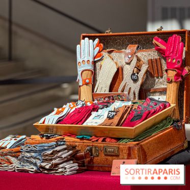 Tour Auto 2026 : plus de 230 voitures de collection s'exposent sous la verrière du Grand Palais