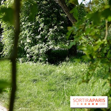 La Coulée verte de Deuil-la-Barre dans le Val-d'Oise - nos photos