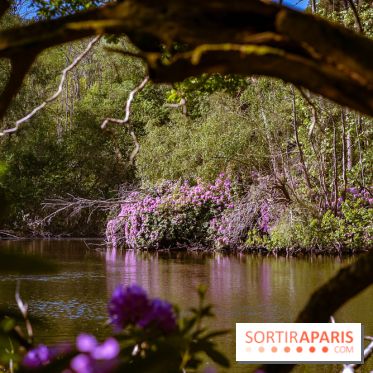 La réserve Naturelle des Etangs de Bonnelles, son pont kiosque, temple de l'amour et ses trésors