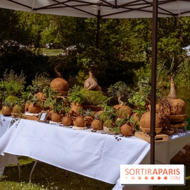 Fête des Plantes au Château de Dampierre dans les Yvelines - photos