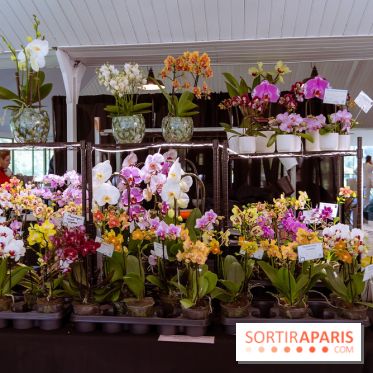 Fête des Plantes au Château de Dampierre dans les Yvelines - photos