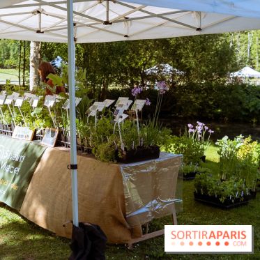 Fête des Plantes au Château de Dampierre dans les Yvelines - photos