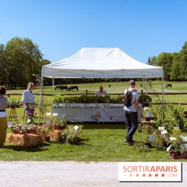 Fête des Plantes au Château de Dampierre dans les Yvelines - photos
