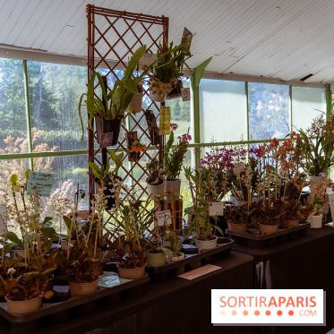 Fête des Plantes au Château de Dampierre dans les Yvelines - photos