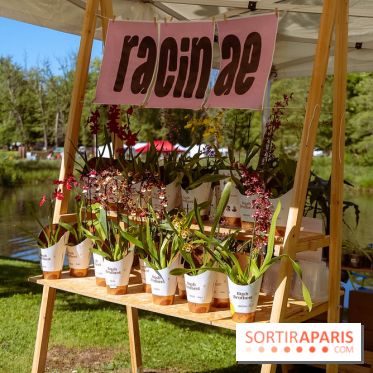 Fête des Plantes au Château de Dampierre dans les Yvelines - photos