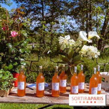 Fête des Plantes au Château de Dampierre dans les Yvelines - photos