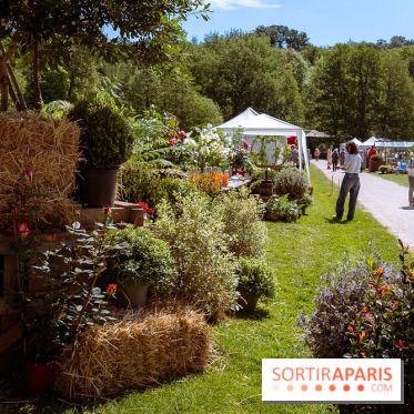 Fête des Plantes au Château de Dampierre dans les Yvelines - photos