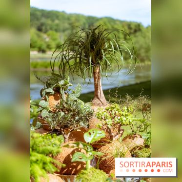 Fête des Plantes au Château de Dampierre dans les Yvelines - photos