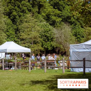 Fête des Plantes au Château de Dampierre dans les Yvelines - photos