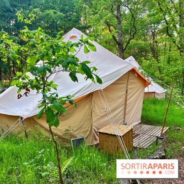 Bivouac avec les loups