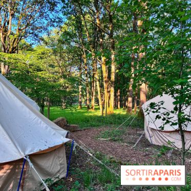 Bivouac avec les loups