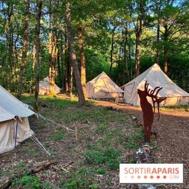 Bivouac avec les loups