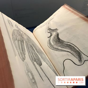 Plumes de Paradis, l'expo au musée du Quai Branly - nos photos