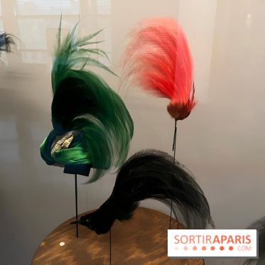 Plumes de Paradis, l'expo au musée du Quai Branly - nos photos