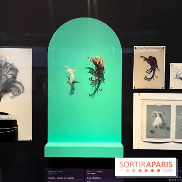 Plumes de Paradis, l'expo au musée du Quai Branly - nos photos