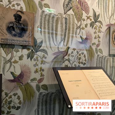 Plumes de Paradis, l'expo au musée du Quai Branly - nos photos