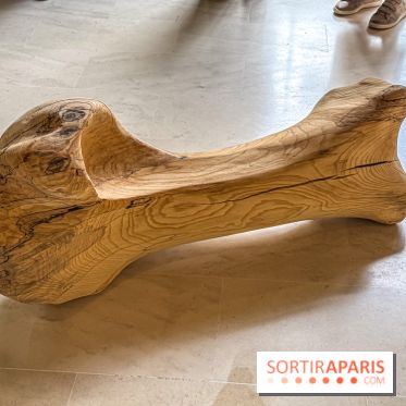 Lélia Demoisy au Domaine de Chamarande : une exposition autour des récits de forêts