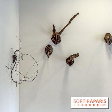 Lélia Demoisy au Domaine de Chamarande : une exposition autour des récits de forêts