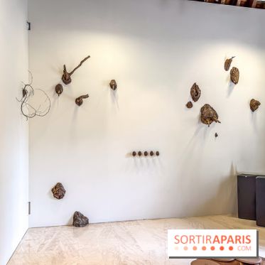 Lélia Demoisy au Domaine de Chamarande : une exposition autour des récits de forêts