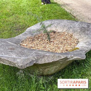 Lélia Demoisy au Domaine de Chamarande : une exposition autour des récits de forêts