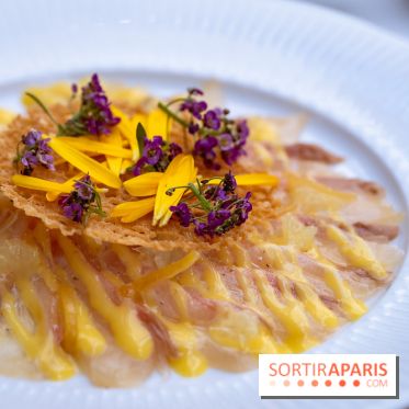 La terrasse jardin du Sax Hotel avec piscine - carpaccio de sériole