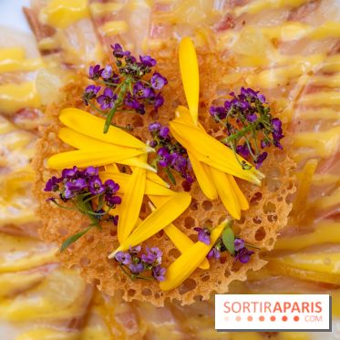La terrasse jardin du Sax Hotel avec piscine - lcarpaccio de sériole