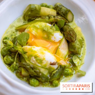 La terrasse jardin du Sax Hotel avec piscine - oeuf poché asperges vertes