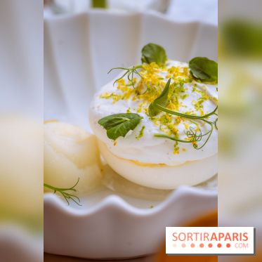 La terrasse jardin du Sax Hotel avec piscine - pavlova citron