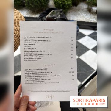 La terrasse jardin du Sax Hotel avec piscine - carte - menu