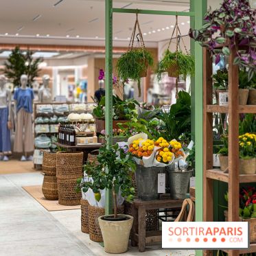 Valvert Croix Blanche : le complexe shopping-loisirs XXL en Essonne avec fontaine et parc à dinosaures