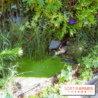 Jardins, Jardin 2026, le salon jardins en plein air à Paris, les photos
