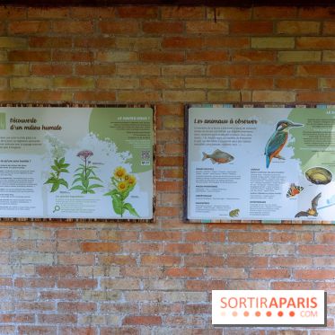Le Parc et château de Lardy en Essonne - photos