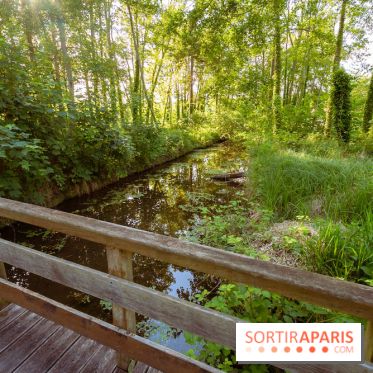 Le Parc et château de Lardy en Essonne - photos