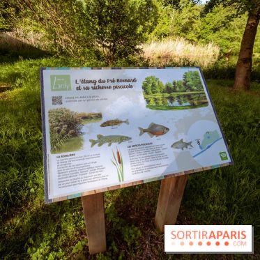 Le Parc et château de Lardy en Essonne - photos