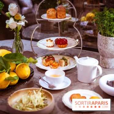 Tea time sensoriel de Matthieu Carlin à l'Hôtel de Crillon - les photos