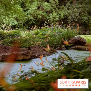 Le domaine du Chateau de la Celle SainCloud dans les Yvelines - photos