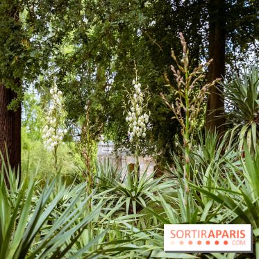 Le domaine du Chateau de la Celle SainCloud dans les Yvelines - photos
