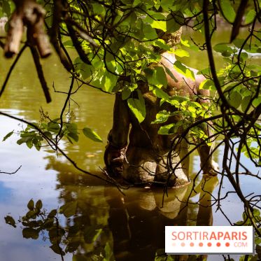 Le domaine du Chateau de la Celle SainCloud dans les Yvelines - photos