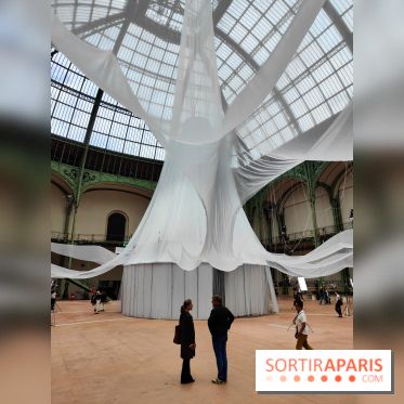 Nous, frissons d'étoile : une installation immersive contemporaine au Grand Palais