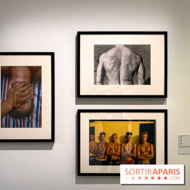 Fragiles beautés : la collection de photos d'Elton John exposée au Jeu de Paume